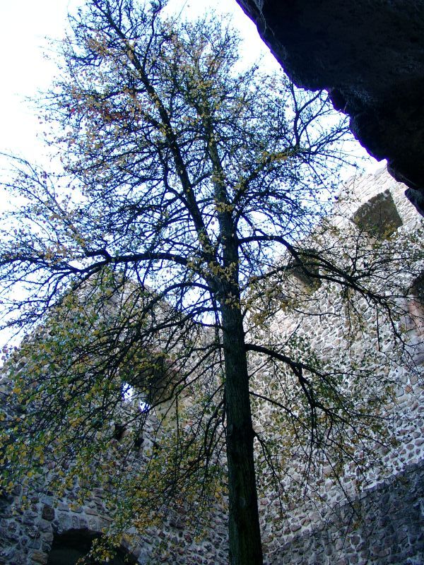Burg Baden
