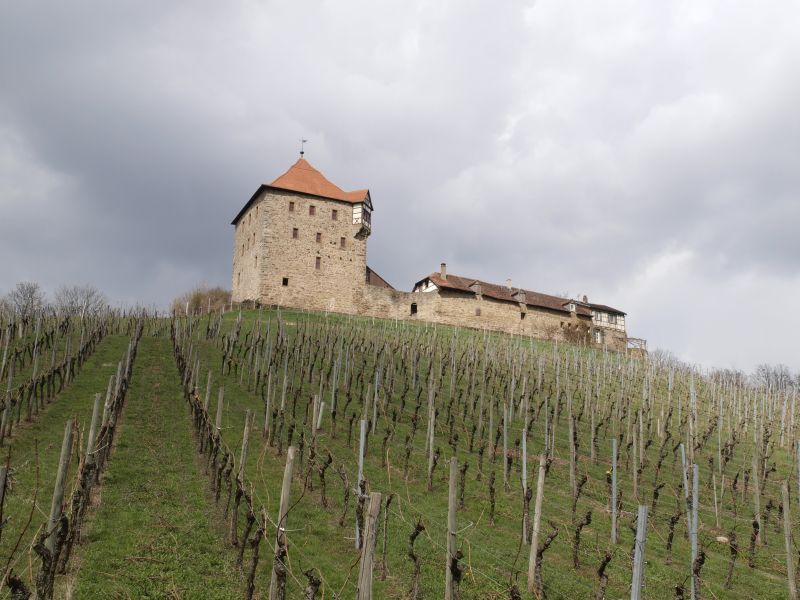 Burg Wildeck