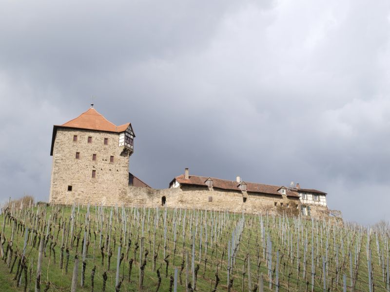 Burg Wildeck