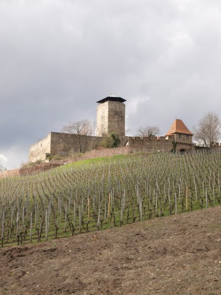 Schloss Hohenbeilstein