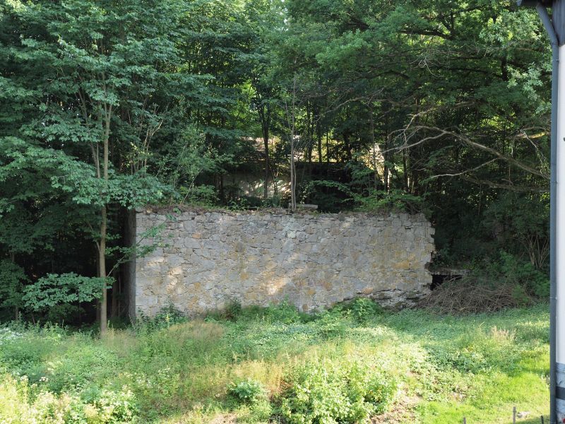 Ruine Roggenstein