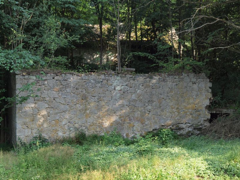 Ruine Roggenstein