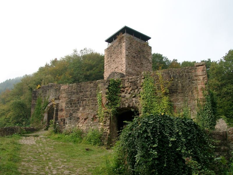 Hinterburg Neckarsteinach