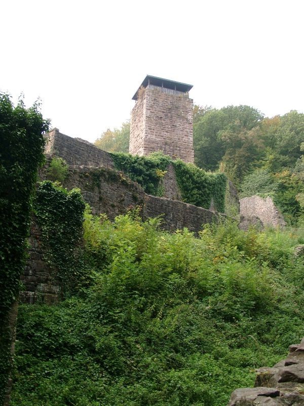 Hinterburg Neckarsteinach
