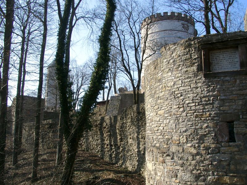 Burg Plesse