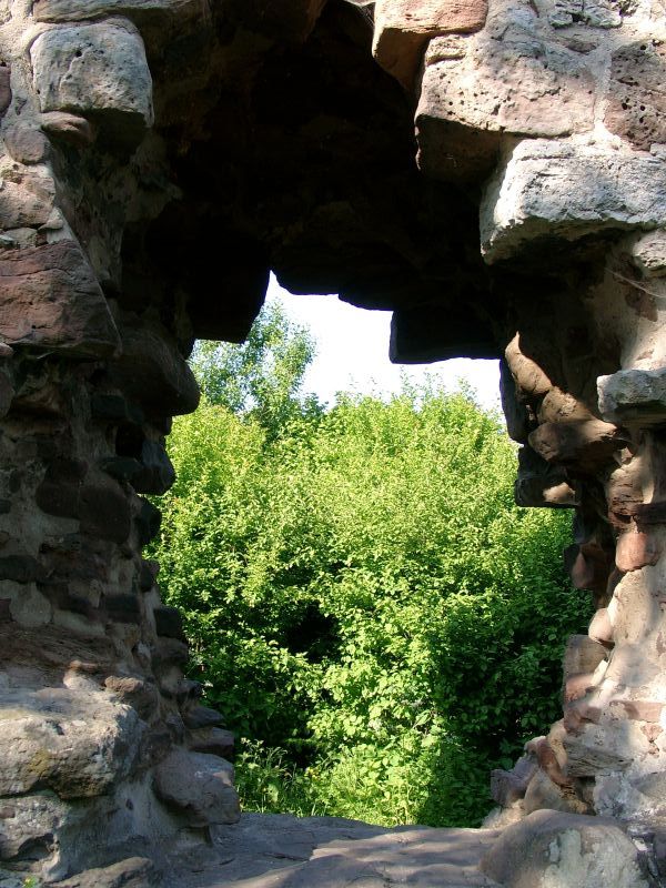 Ruine Lwenburg
