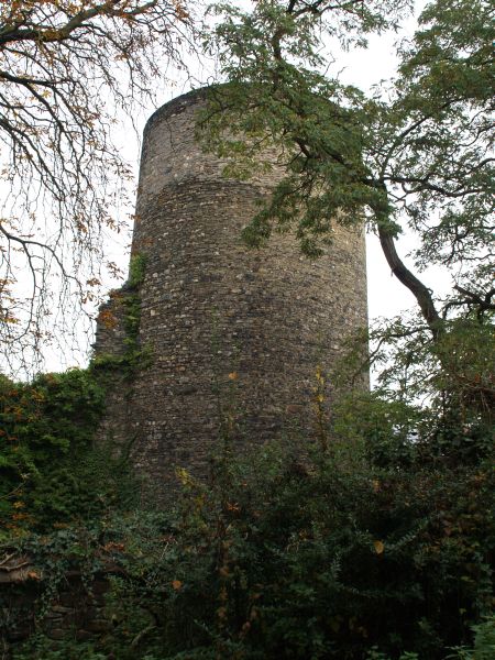 Burg Heimburg