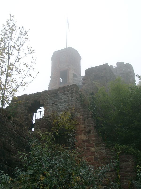 Burg Dilsberg