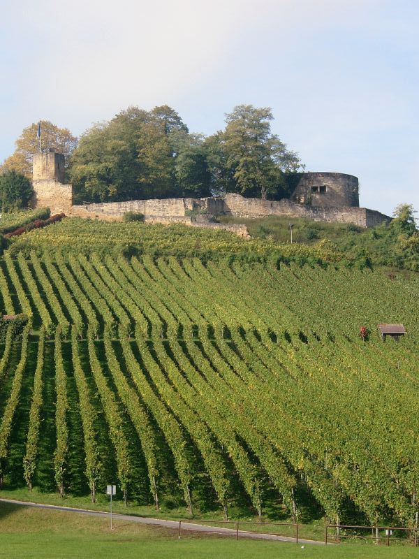 Burg Weibertreu