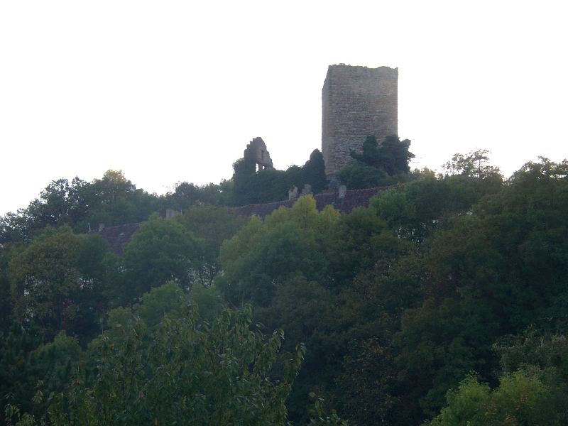 Burgruine Ehrenberg