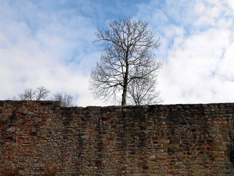 Burg Botenlauben