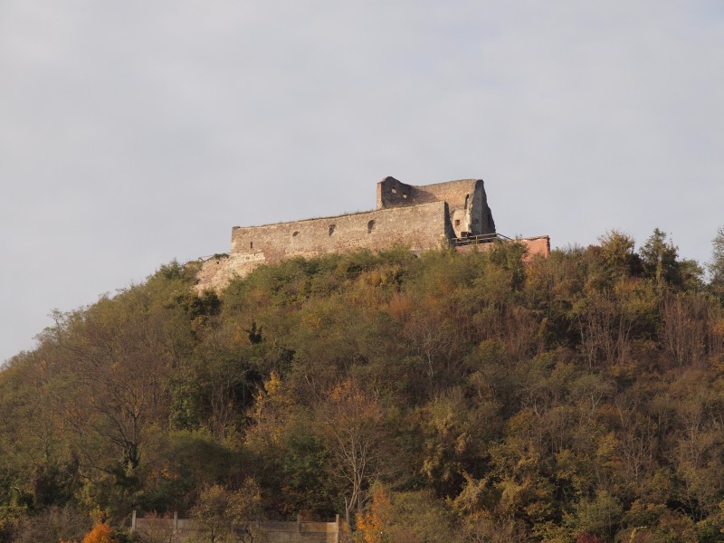 Burg Donaustauf