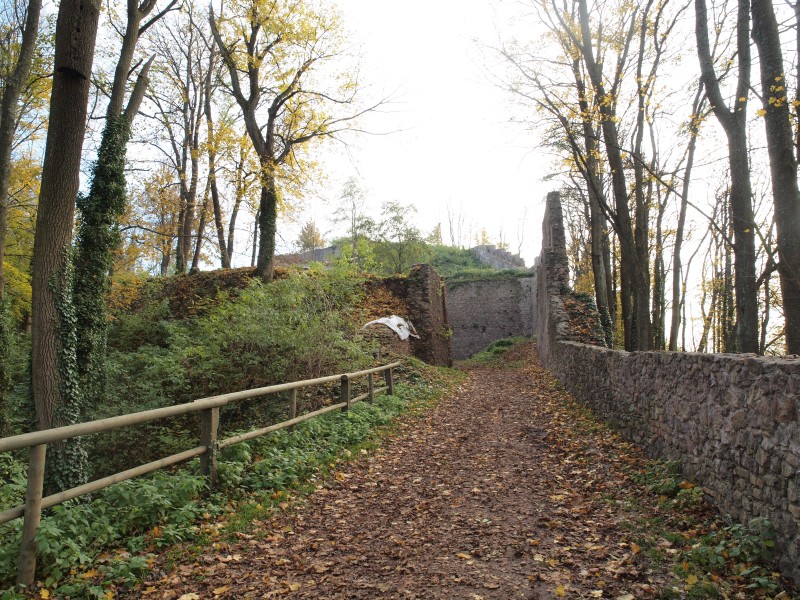 Burg Donaustauf