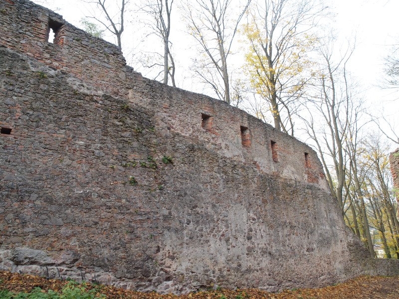 Burg Donaustauf