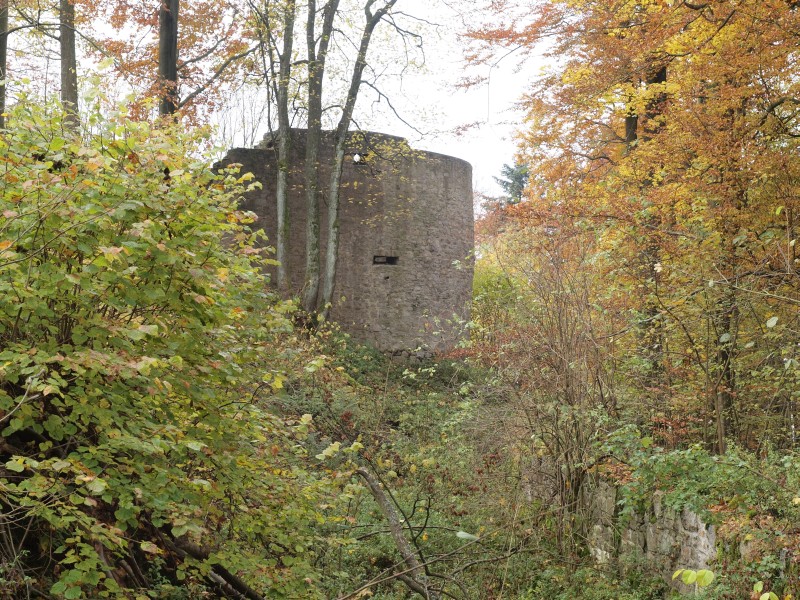 Burg Schwarzenburg