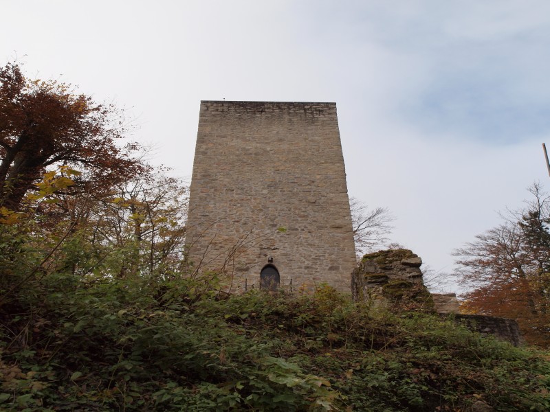 Burg Schwarzenburg