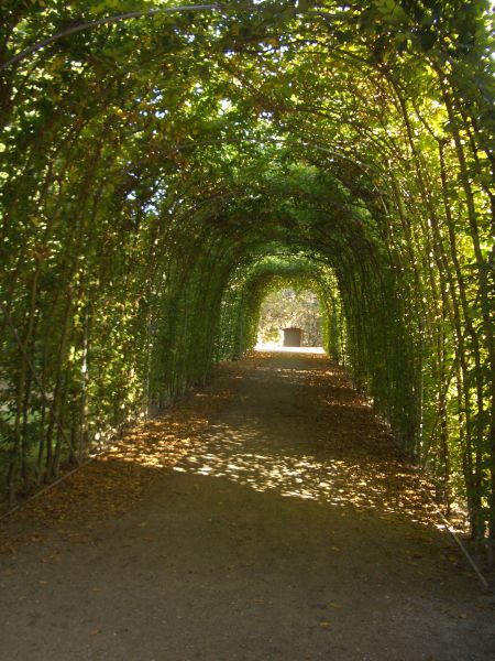 Neues Schloss Eremitage