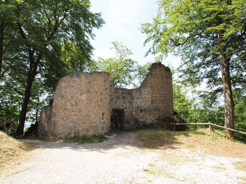 Ruine Leienfels
