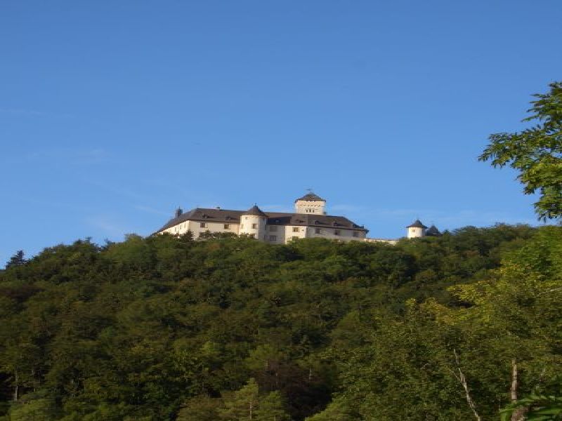 Schloss Greifenstein