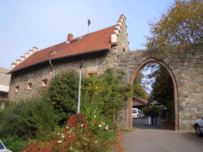 Burg Frankenstein