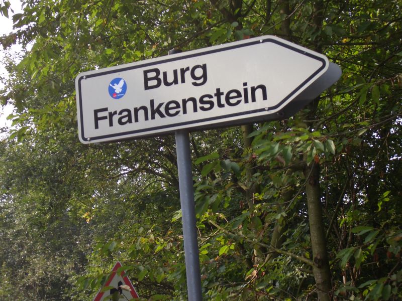 Burg Frankenstein