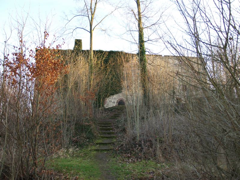 Burg Grebenstein