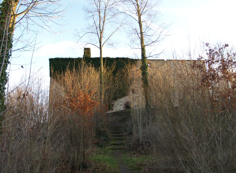 Burg Grebenstein