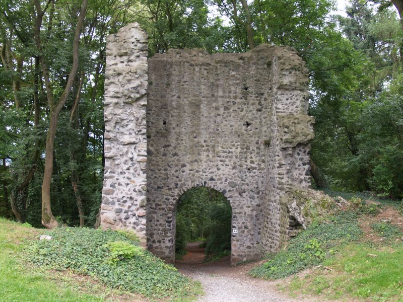 Burg Kalsmunt