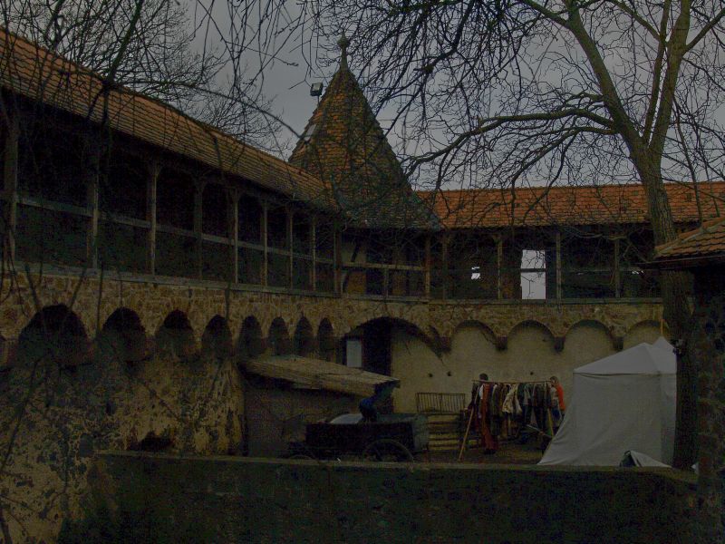 Burg Ronneburg