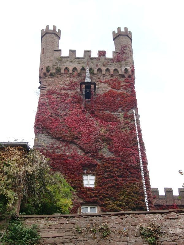 Mittelburg Neckarsteinach