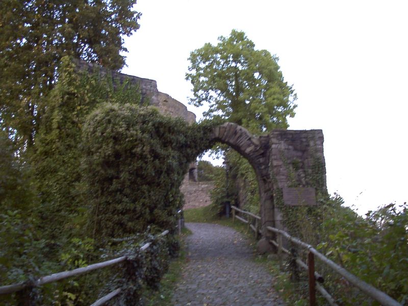 Ruine Krukenburg