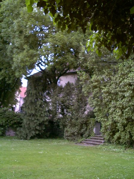 Schloss Haydau