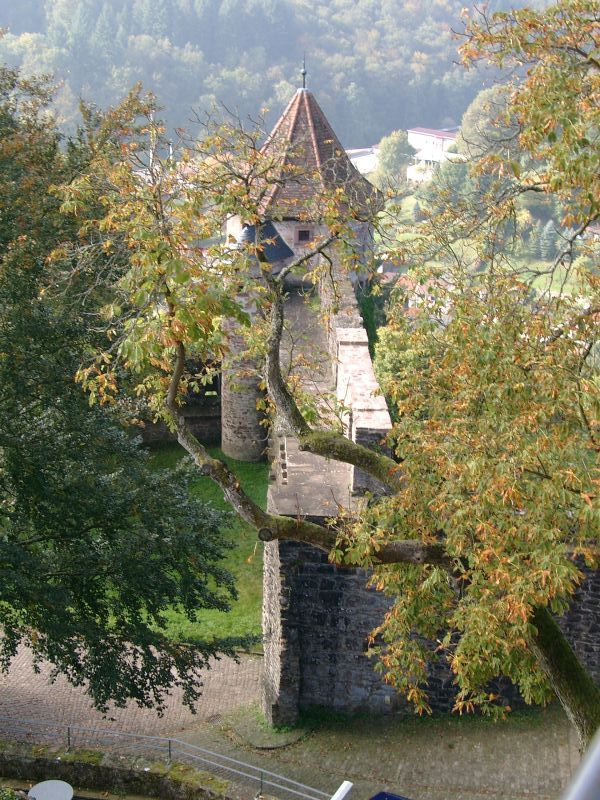 Schloss Hirschhorn