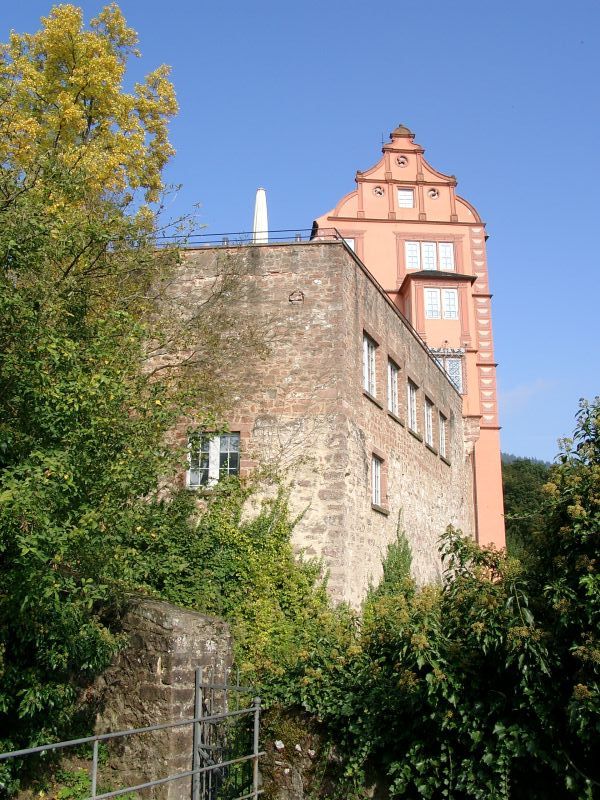 Schloss Hirschhorn