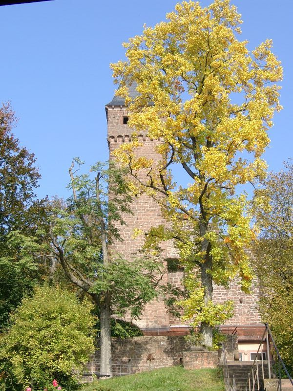 Schloss Hirschhorn