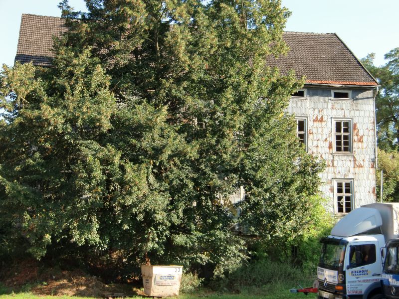 Schloss Meineringhausen