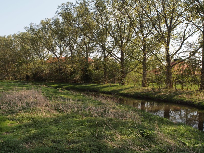 Burg Steinbrck