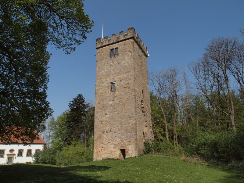 Burg Wohldenberg