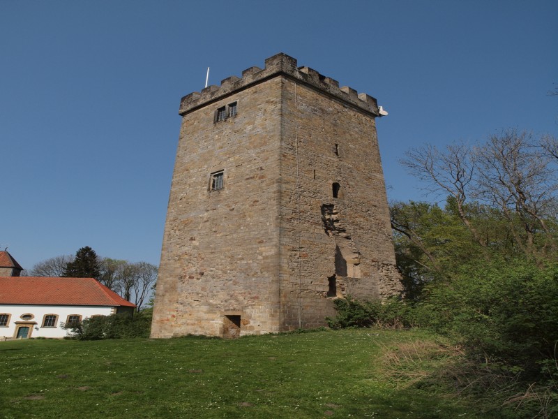 Burg Wohldenberg