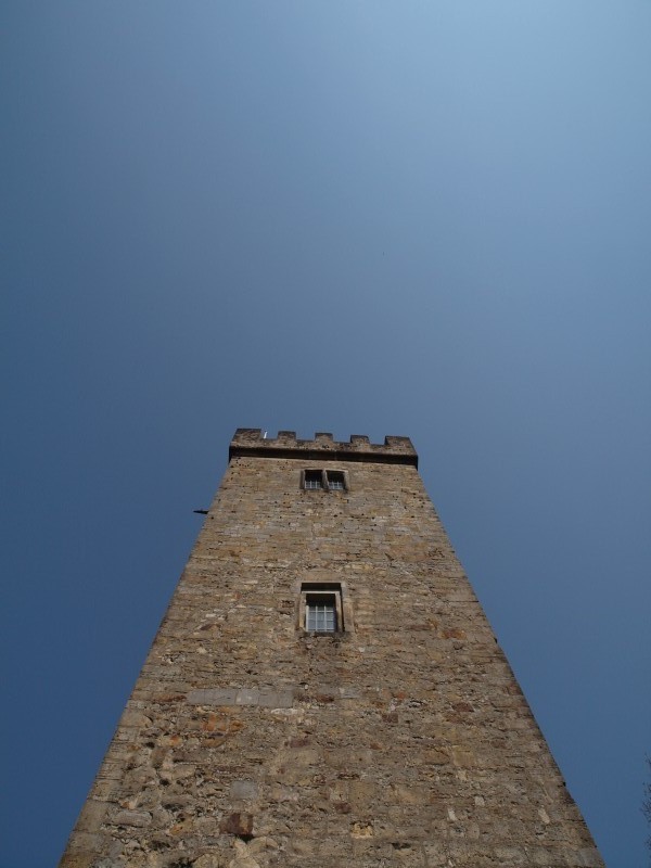 Burg Wohldenberg