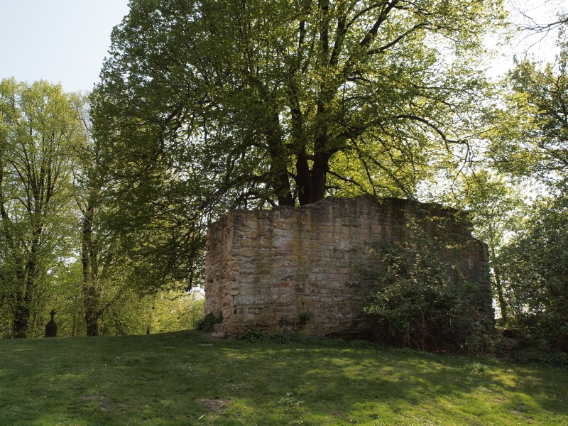 Burg Wohldenberg