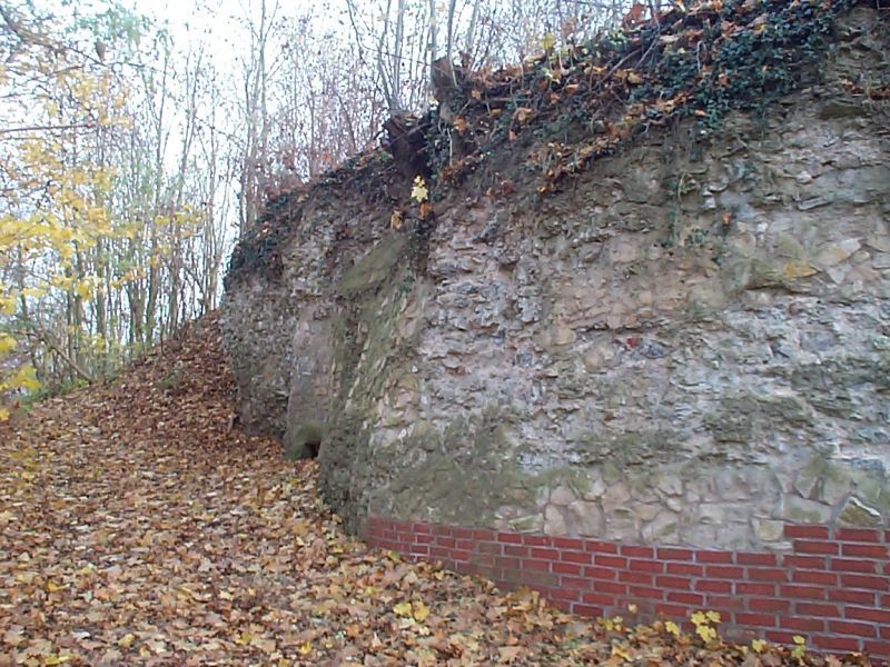 Ruine Calenberg