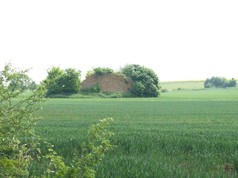 Burg Asseln