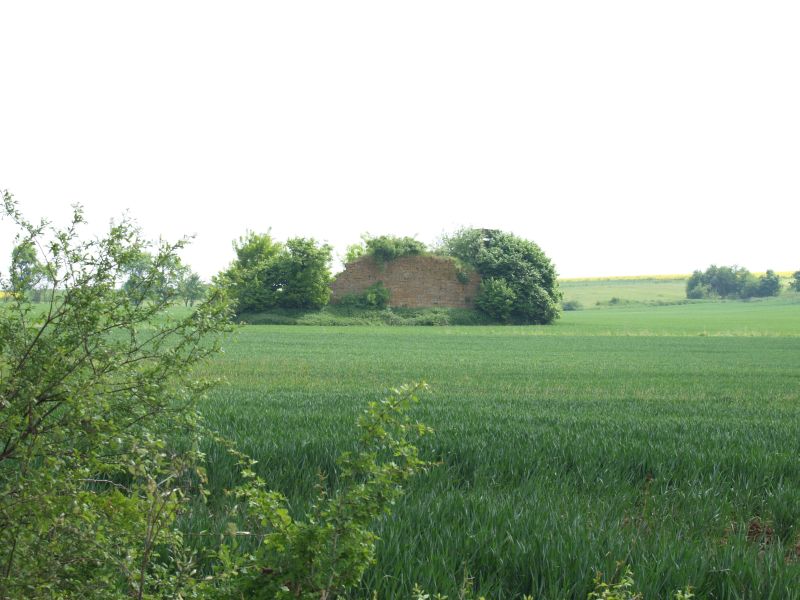 Burg Asseln