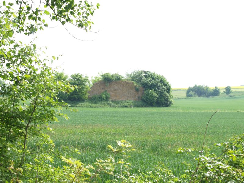 Burg Asseln