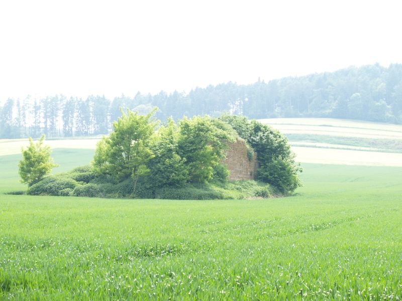 Burg Asseln