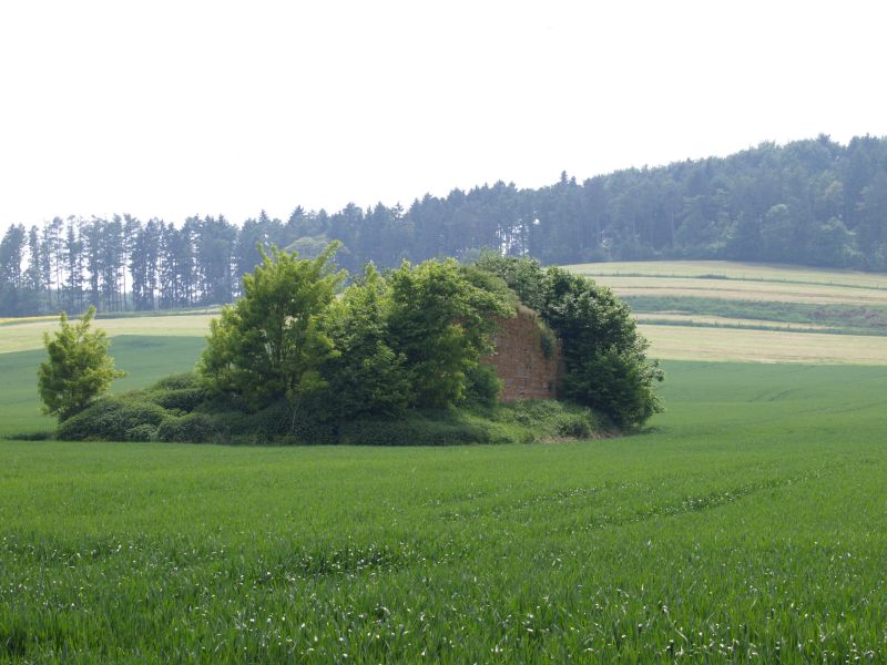 Burg Asseln