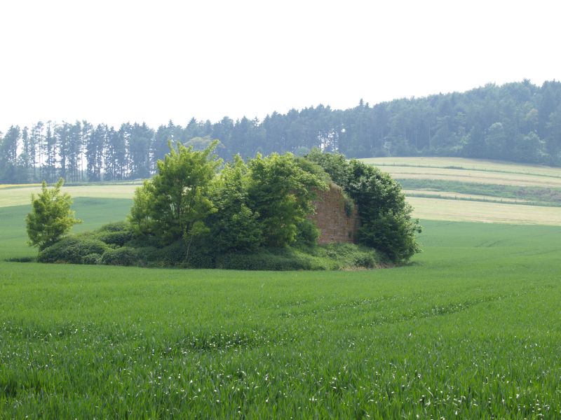 Burg Asseln