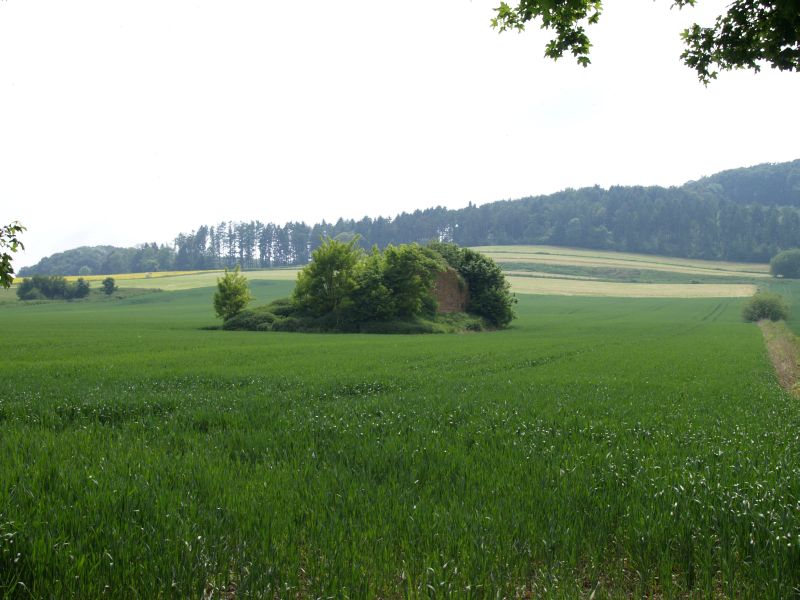 Burg Asseln