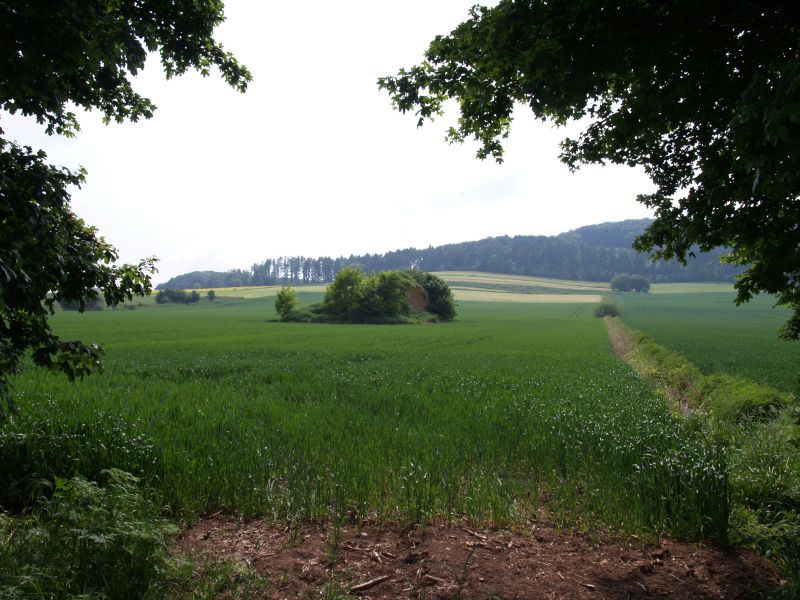 Burg Asseln